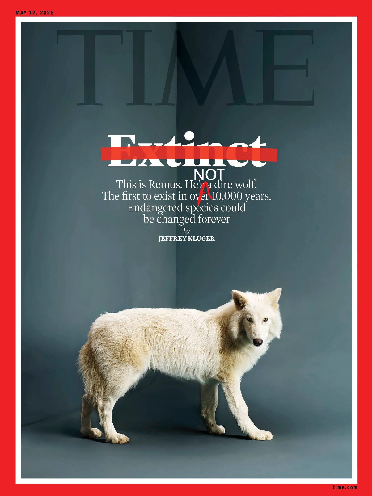 THE COVER OF TIME MAGAZINE, WITH A CAPTION SAYING 'THIS IS REMUS. HE'S A DIRE WOLF'. I'VE INSERTED THE WORD 'NOT' AFTER HE'S.  