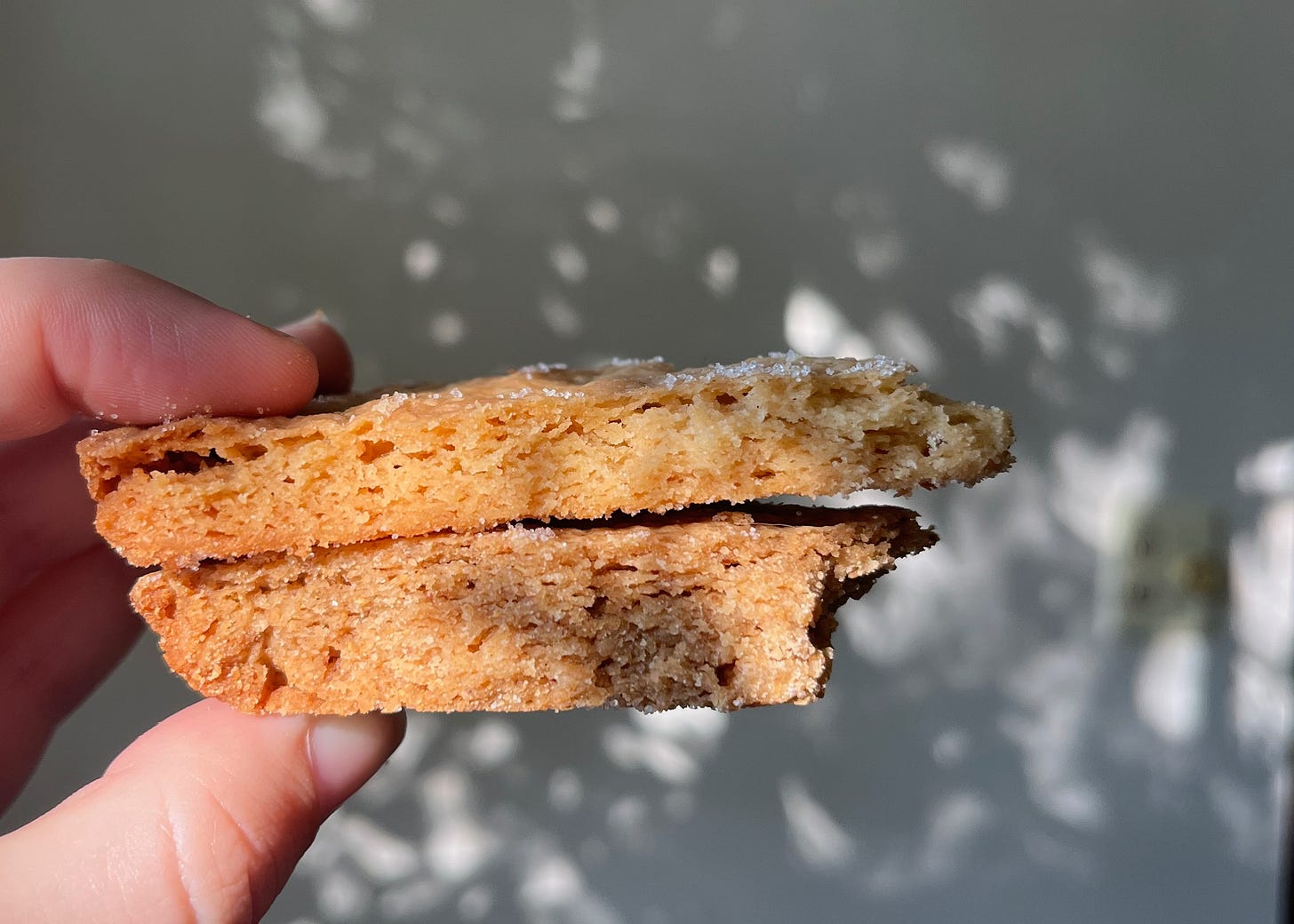 two slices of shortbread held on top of each other. V1 is thinner and lighter. V2 is thicker and slightly more brown and dense, slightly underbaked.