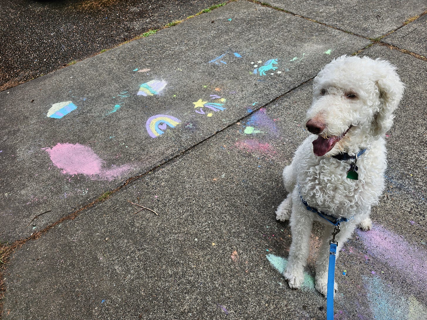 White labradoodle dog sitting on sidewalk beside colorful chalk drawings of rainbows, cupcakes, and shooting stars.