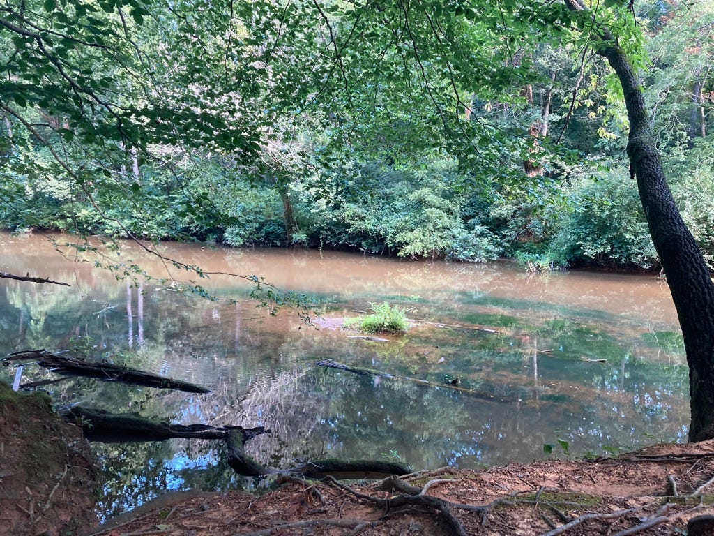 muddy river, with reflections of the trees on the bank
