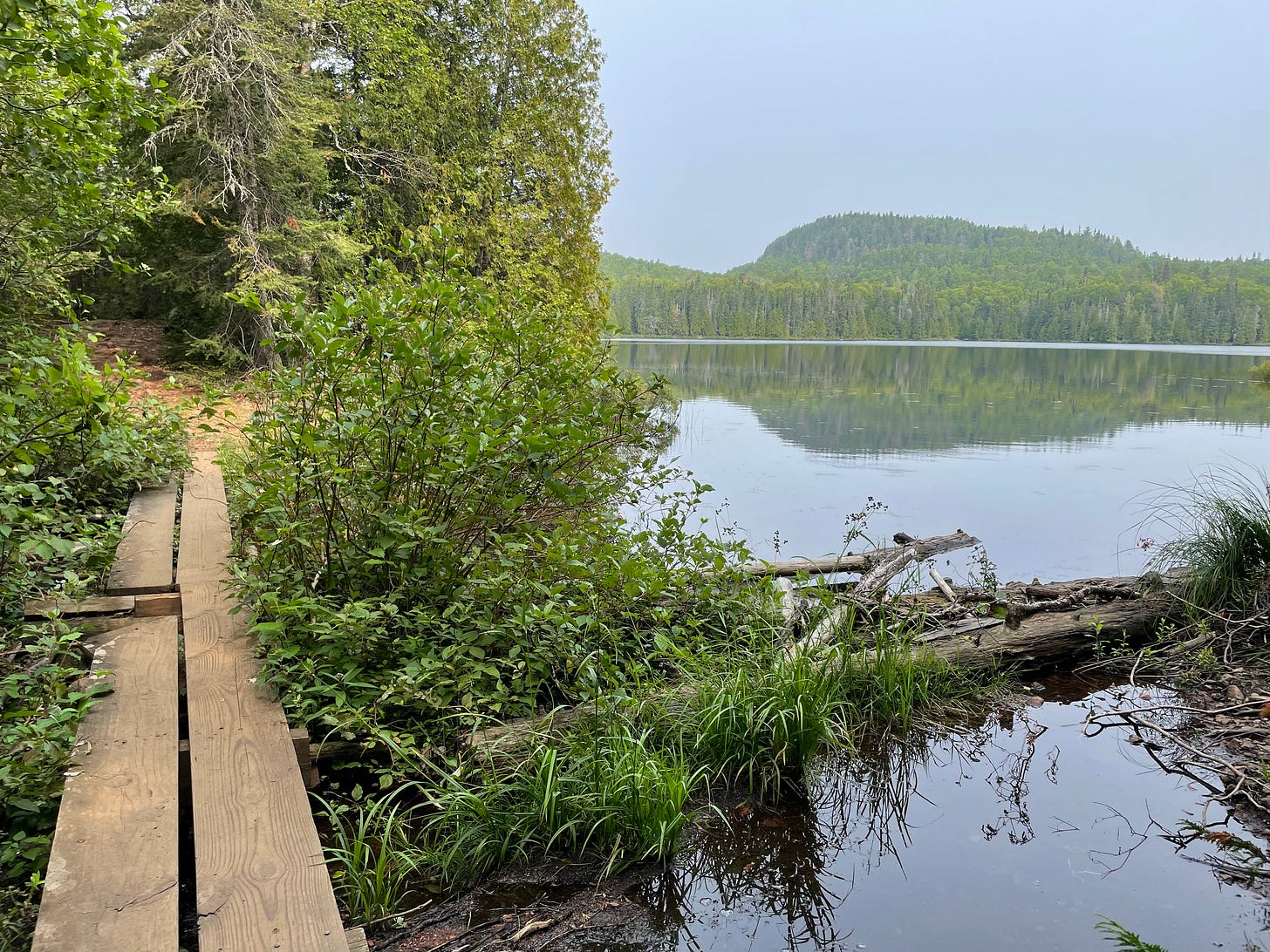 Eagle Mountain Trail in Superior National Forest: A narrow boardwalk next to a lake and leading into the woods.