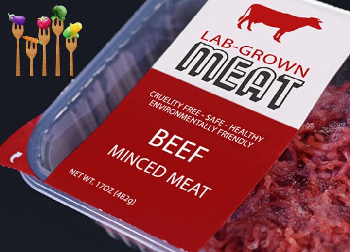 ‘‘Hybrid proteins blend plant-based and lab-grown proteins, offering a sustainable, ethical, and delicious alternative to traditional meat. By combining nutrition, taste, and reduced environmental impact, they represent a revolutionary step forward, appealing to vegans, flexitarians, and anyone seeking a better future for food.’’