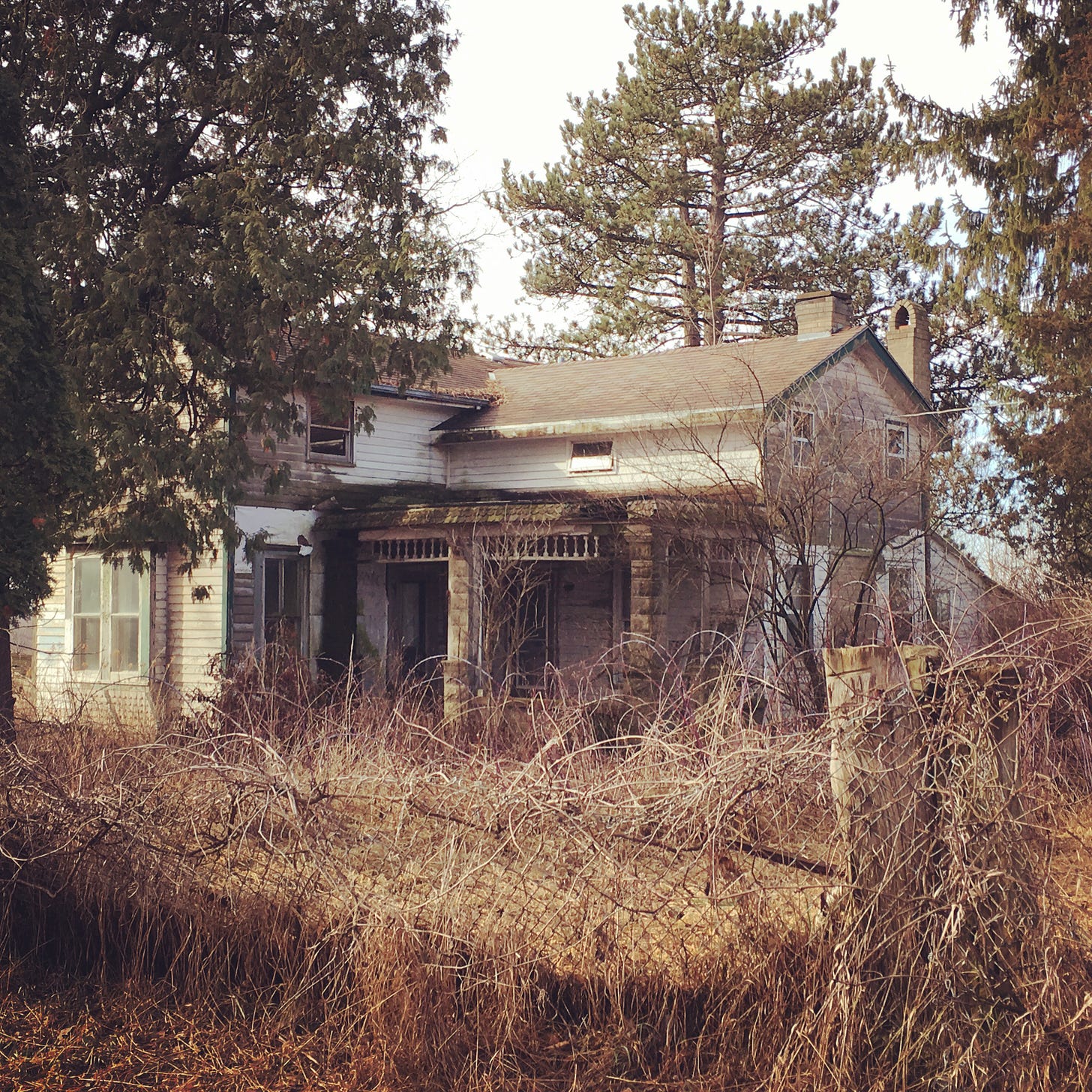 Photo of a decrepit farmhouse surrounded by pine trees.