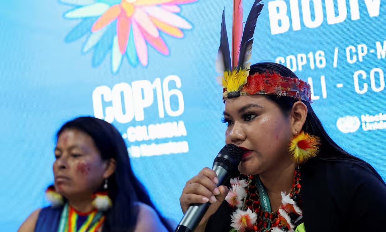 Cop16 Biodiversity