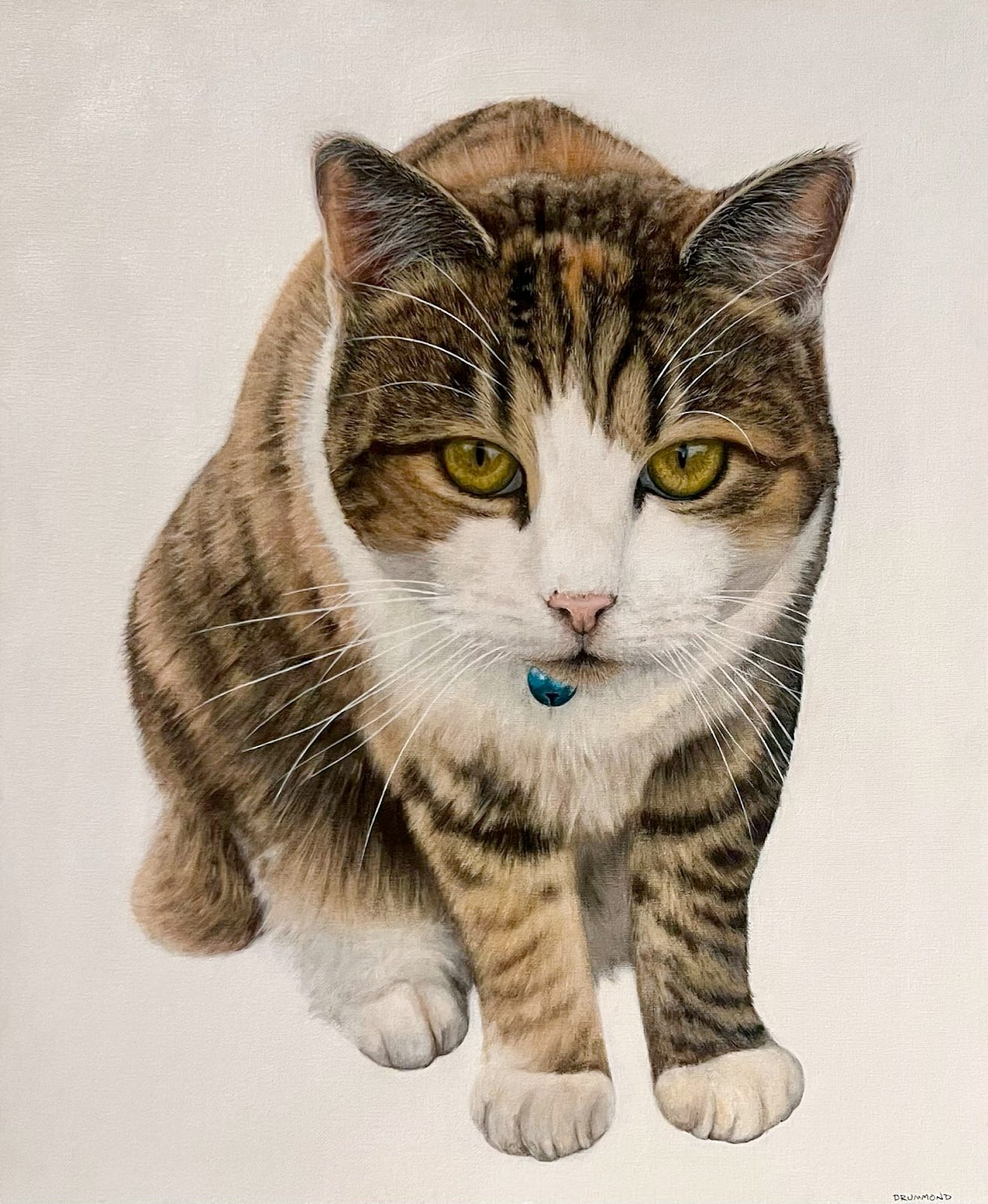 Josh's cat portrait