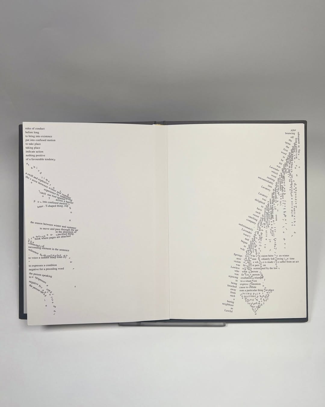 Sam Winston, A Dictionary Story, 2009, First Trade Edition, Produced by Arc Artist Editions [Center for Book Arts, New York, NY. © Sam Winston]