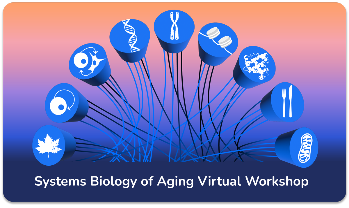 2024 Systems Biology of Aging Workshop by ISB