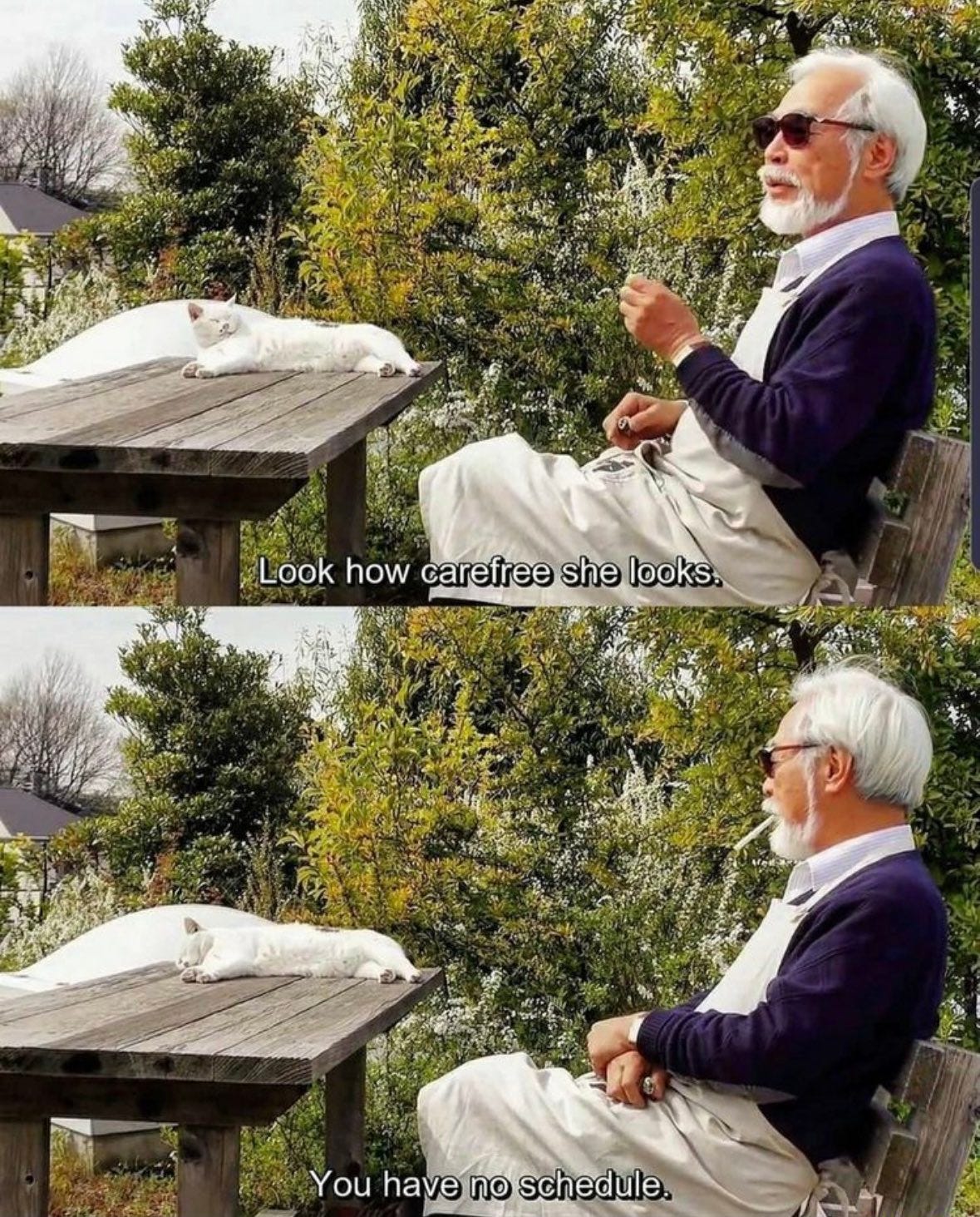 The Cinegogue on X: "Hayao Miyazaki https://t.co/SQ7bzgIESZ" / X