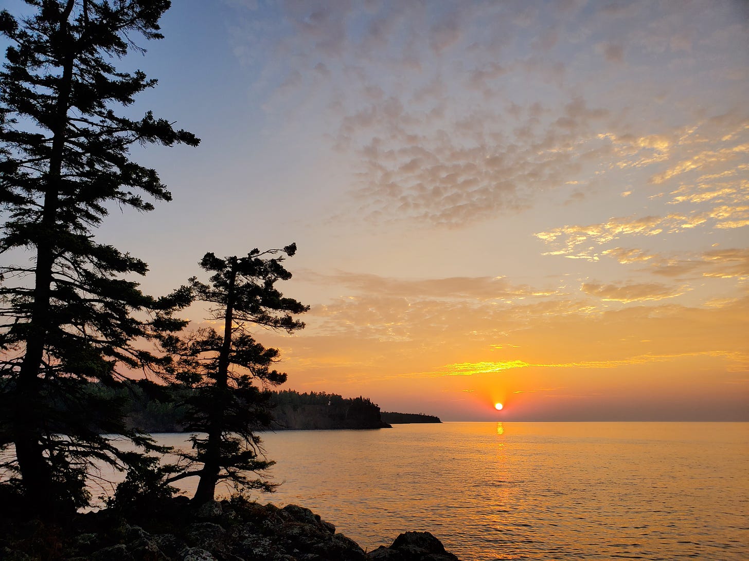 Pine trees in the foreground overlook still waters in a large bay. At the horizon, the newly risen sun peeks through a line of purplish haze. The sky overhead is streaked with wispy white clouds and is blue and gold.