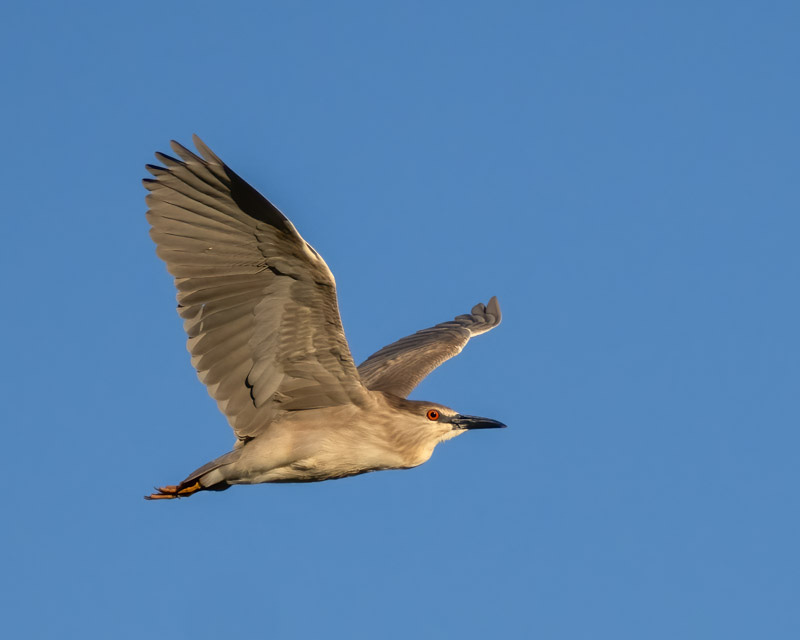 20240423-SGC-29-Edit.jpg