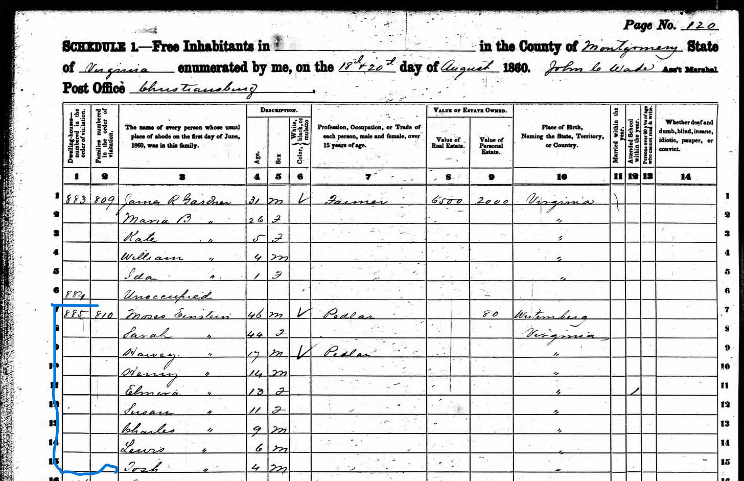 Census record listing Moses Einstein's profession as "pedlar." 