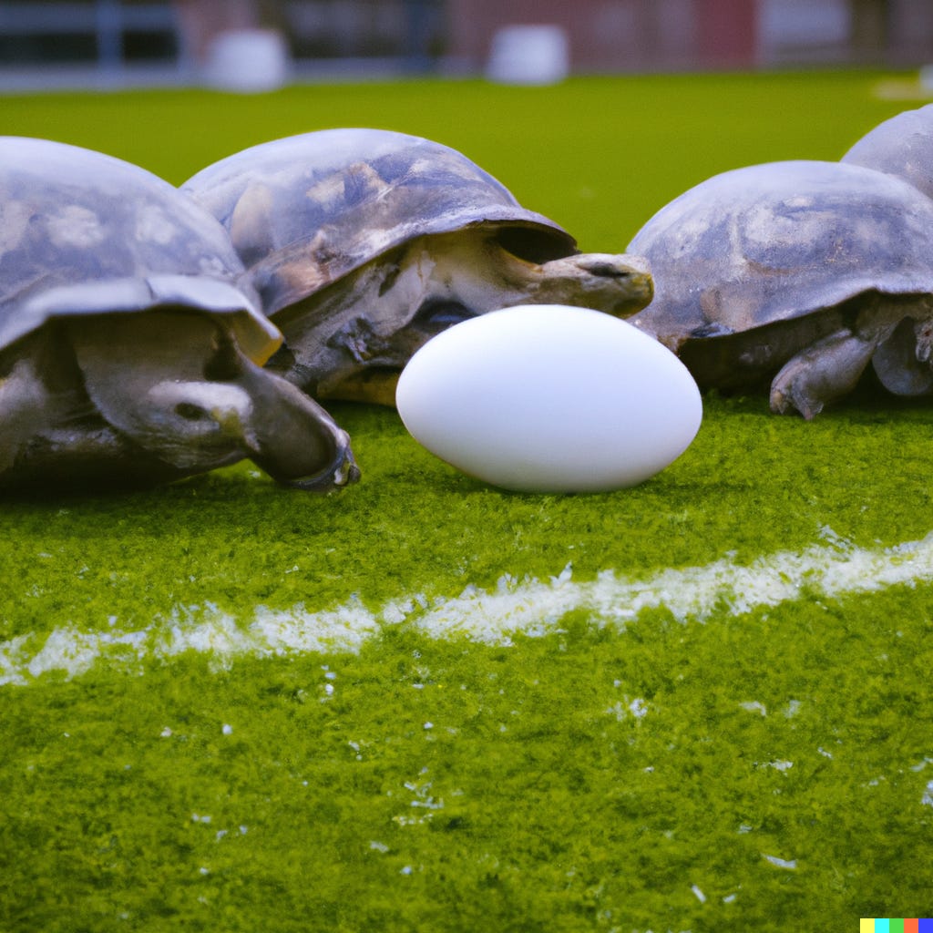 DALL-E: "Turtles lined up for the start of a play in American football"