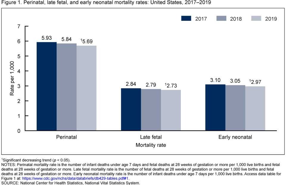 Products - Data Briefs - Number 429 - January 2022