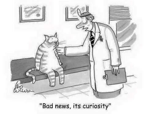 Bad news, it's curiosity” (cartoon) | alvinalexander.com
