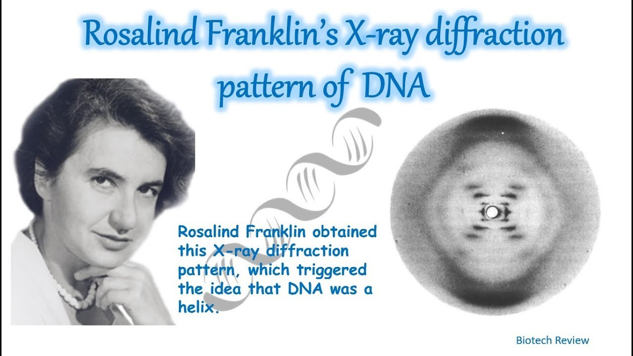 Rosalind Franklin's X-ray Diffraction Pattern of DNA (explained ) | DNA  structure - YouTube