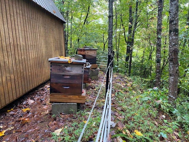 bee hives surrounding by electric fence