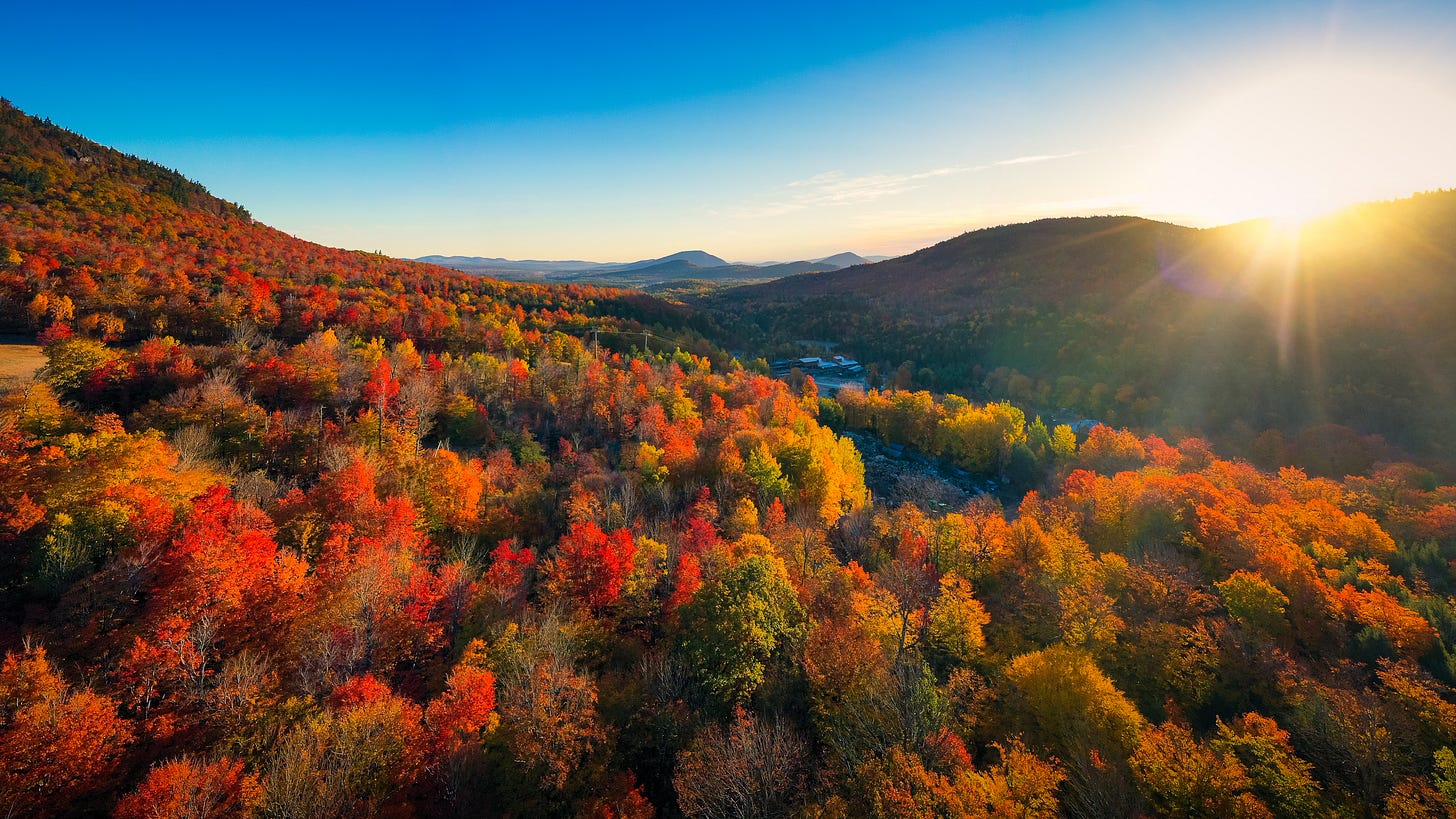 Aerial view of vivid fall foliage in the Adirondacks, deep blue sky as the sun sets.