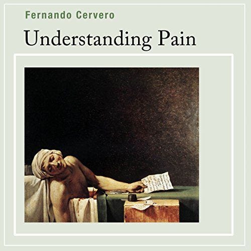 Understanding Pain cover art