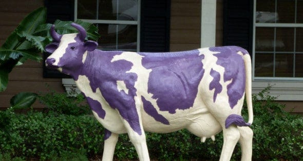 Salespeople and Marketers: Be a Purple Cow | OpenView Blog|Salespeople and  Marketers: Be a Purple Cow | OpenView Blog