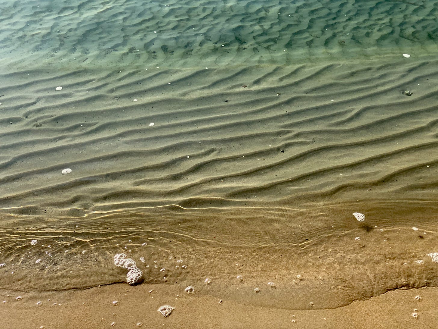Beach: sunlit shallows, with contrasting patterns of ripples in the sand beneath the water