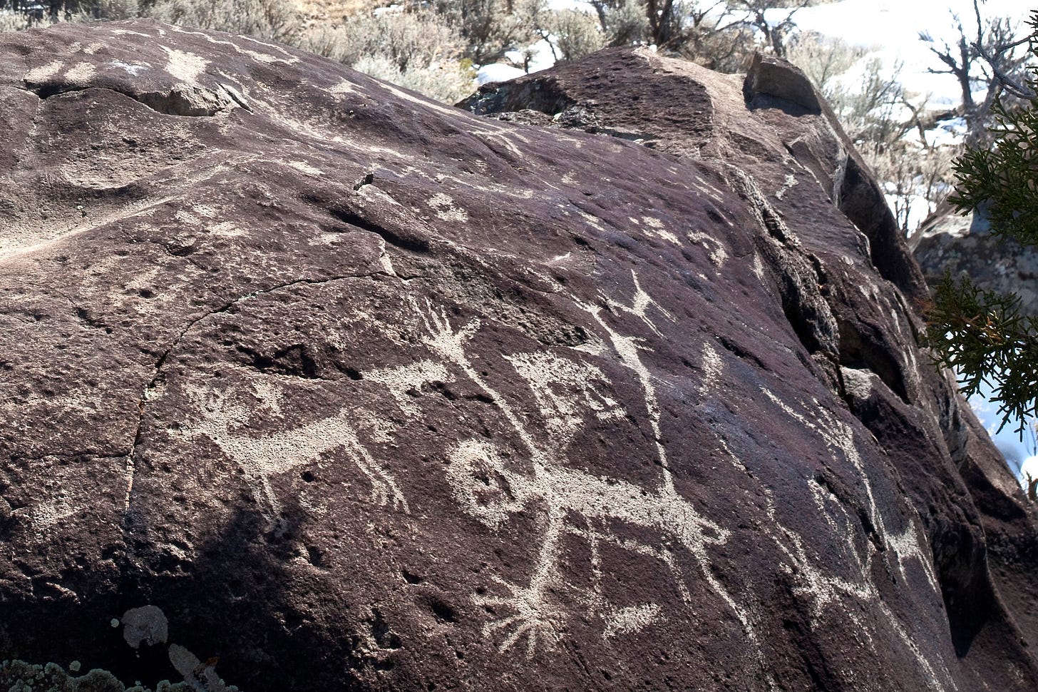 image of rock art in the Rio Grande Gorge National Monument depicting elk, sheep and a man with a big wiener
