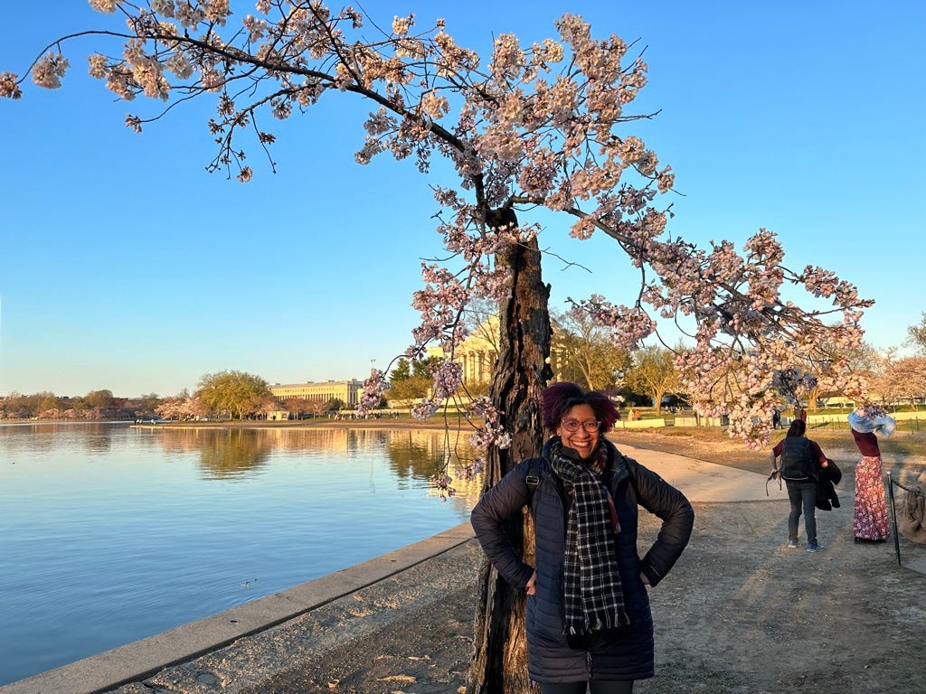 Kristen is standing against a slim, hollow, blooming cherry blossom tree facing the setting sun, with  the water of the DC Tidal Basin to the left of her in the picture. The Jefferson Memorial and the Bureau of Printing and Engraving are in the far background. She is wearing a blue long pullover coat and a checkered wool scarf
