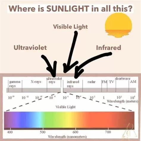 sunlight chart 