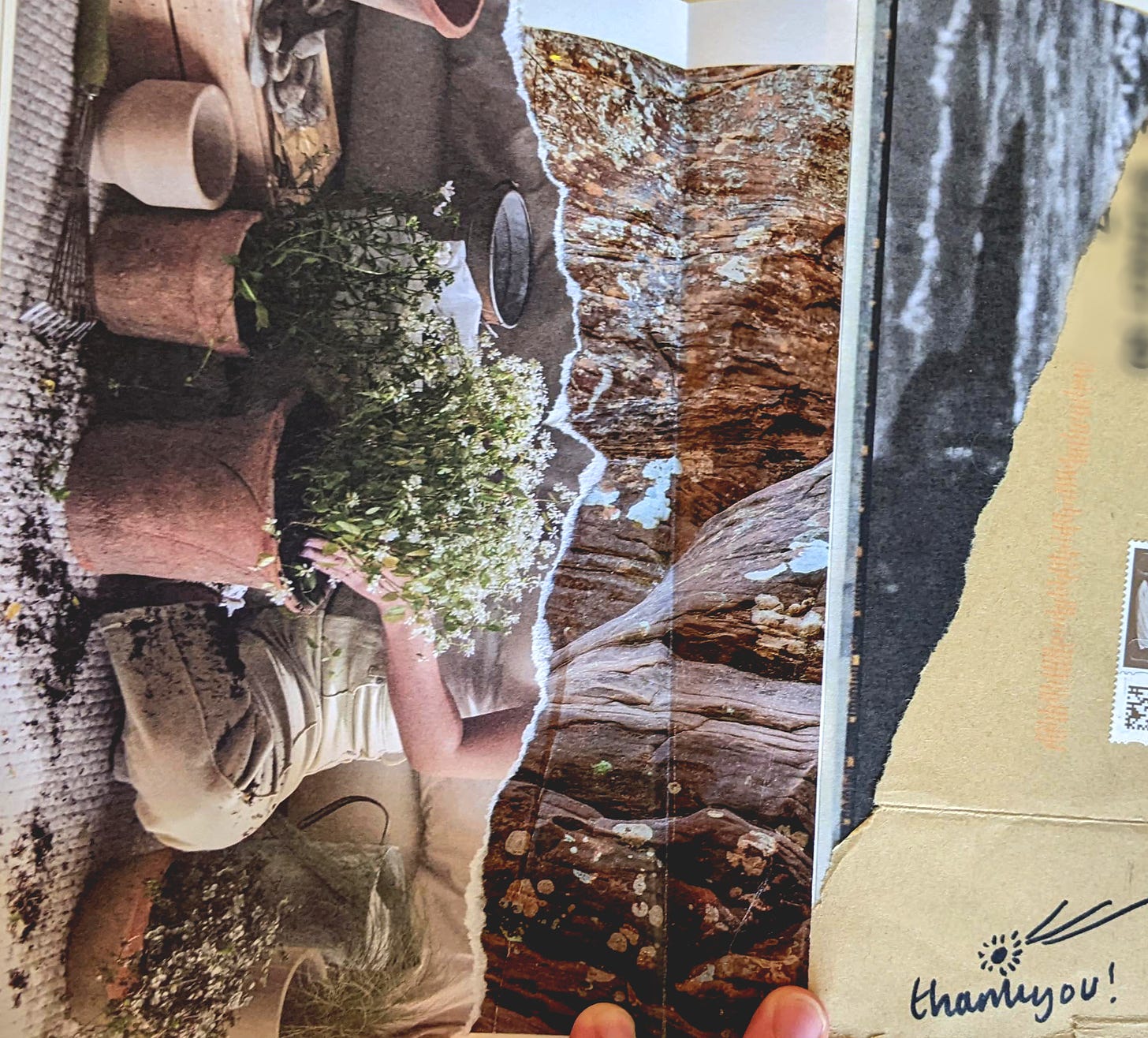 collage with image of a person repotting plants, close up of tree trunk, black and white sea, and an envelope