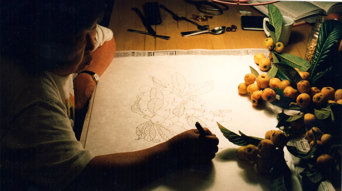 A photograph of Ruth Asawa drawing at night. She sits in a darkened room at a wooden table. A large piece of paper is in a pool of light and you can make out a drawing of the bunch of loquats on a branch that sits in front of her.