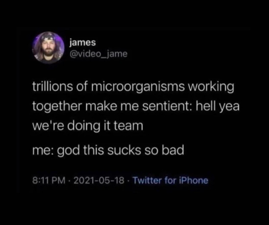 Tweet via @video-jame “Trillions of microorganisms working together to make me sentient: hell yea we’re doing it team / me: god this sucks so bad”