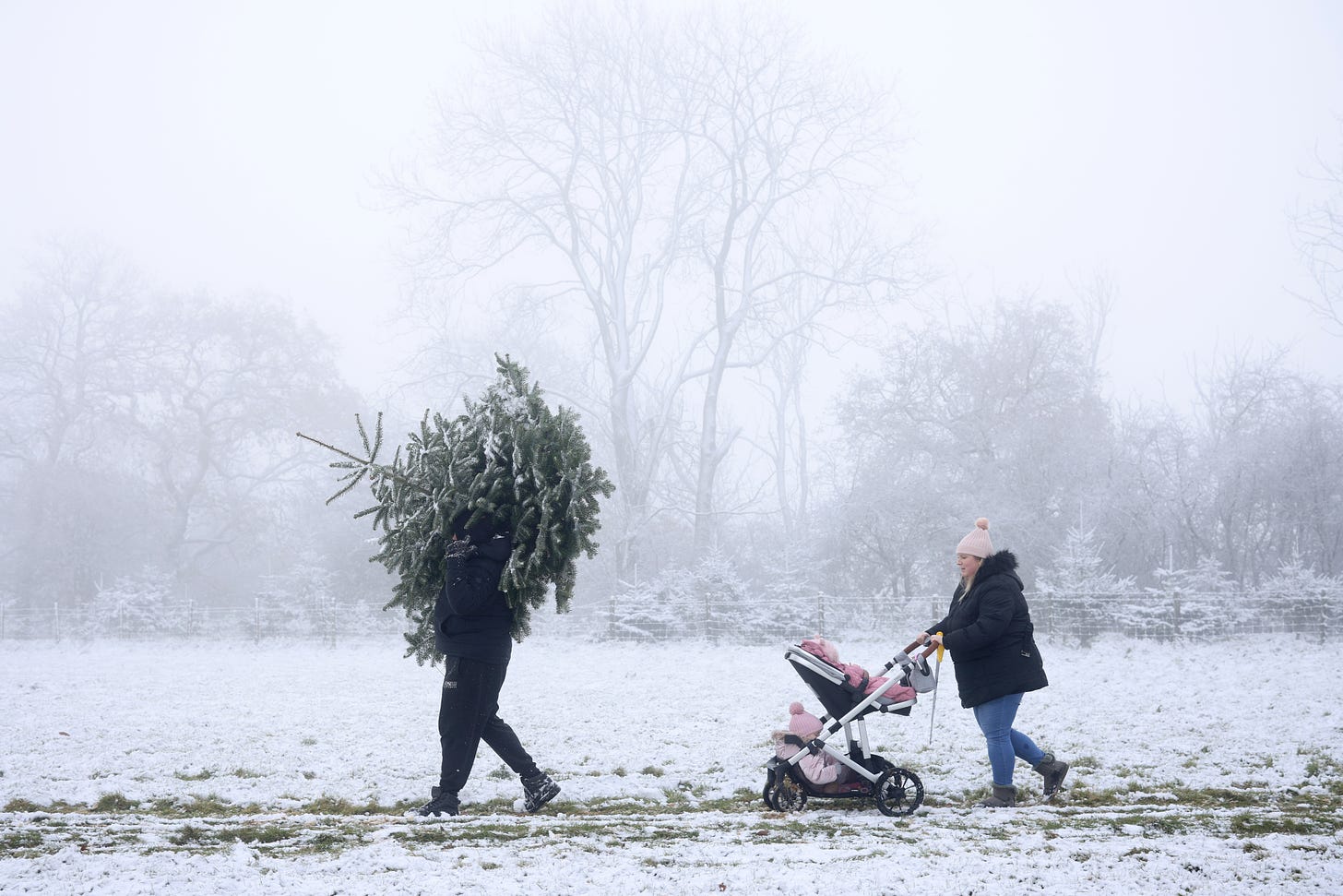 A man carries a Christmas tree across a snow covered field on December 02, 2023 in Bodsham, United Kingdom (Photo by Dan Kitwood/Getty Images).