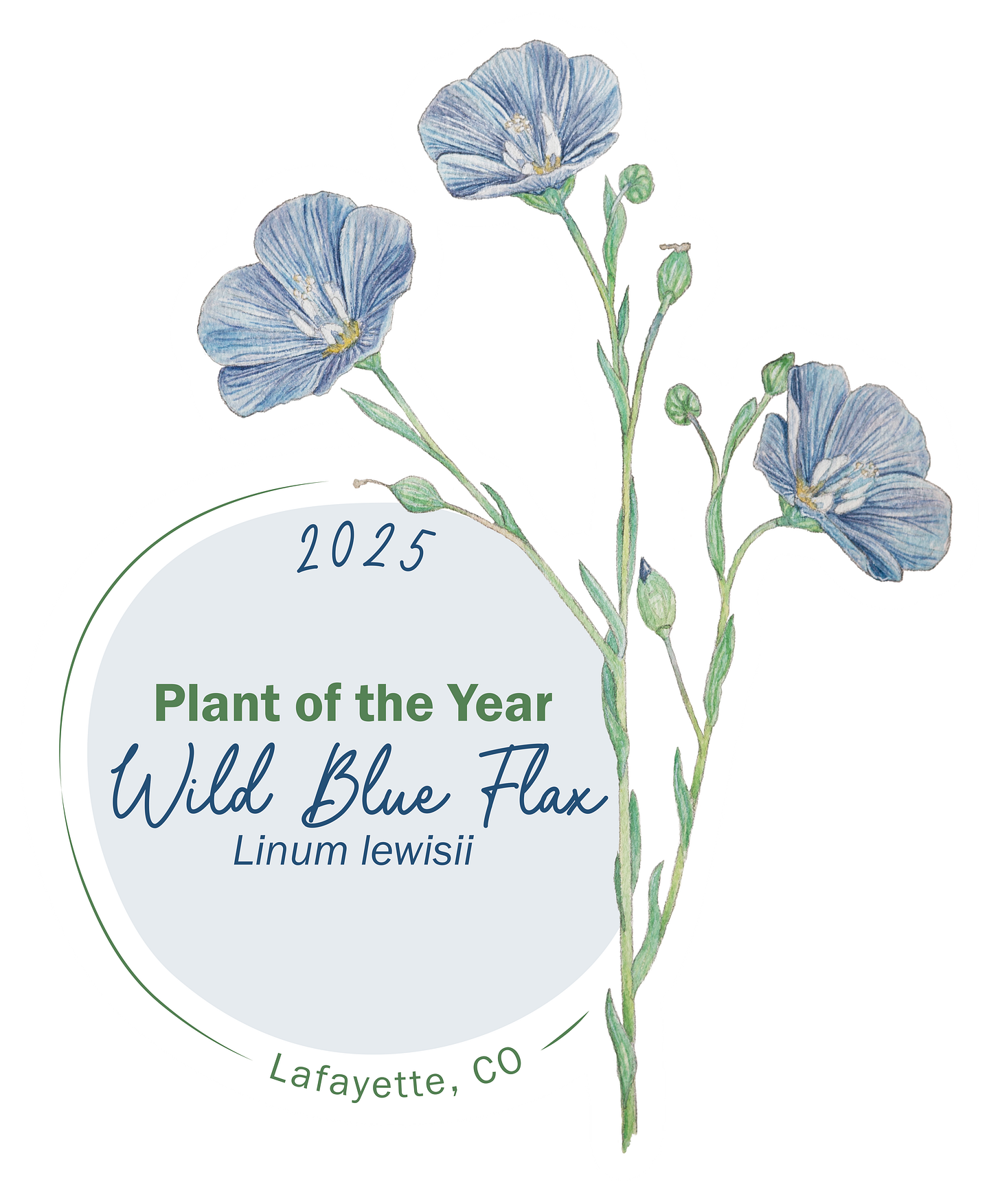  Sticker of Wild Blue Flax