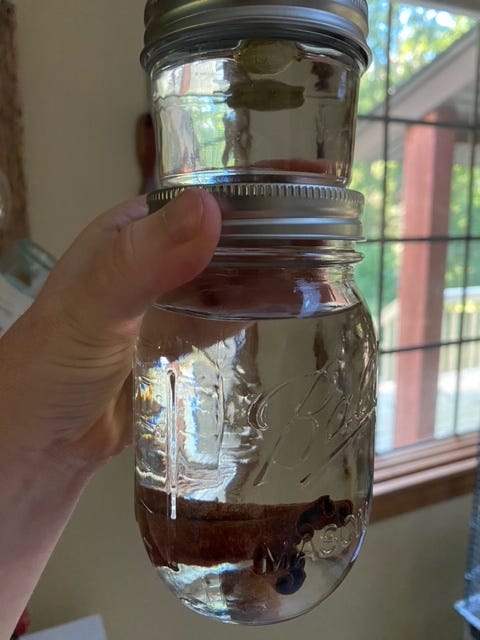 hand holding two jars of cooking extracts