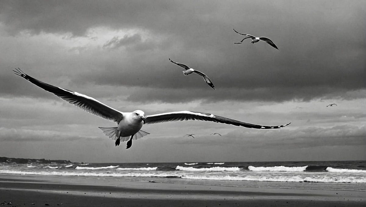 Seagulls flying under grey skies