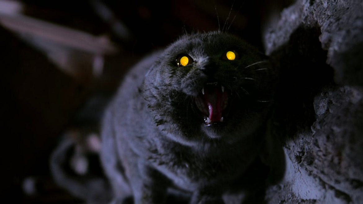 Pet Sematary (1989) | 31 Days of Horror: Oct 24 | RetroZap