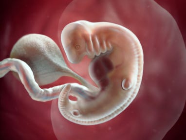 Fetal development by week: Your baby in the womb | BabyCenter