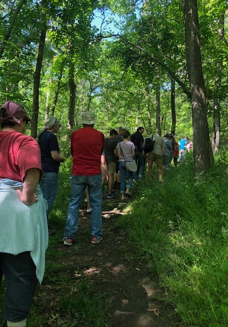 A group of people standing on a path in the woods

Description automatically generated