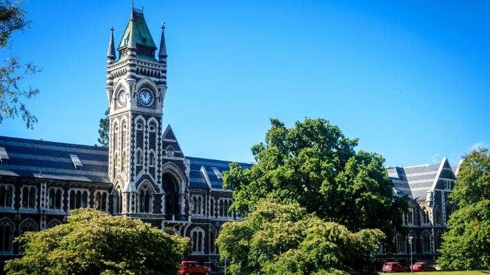 University of Otago staff are in "shock" at news hundreds will lose their jobs in order to cut $60 million from the university's budget.