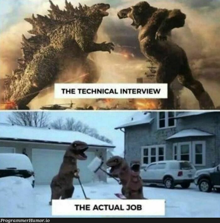 Interview vs Actual Job. - ProgrammerHumor.io