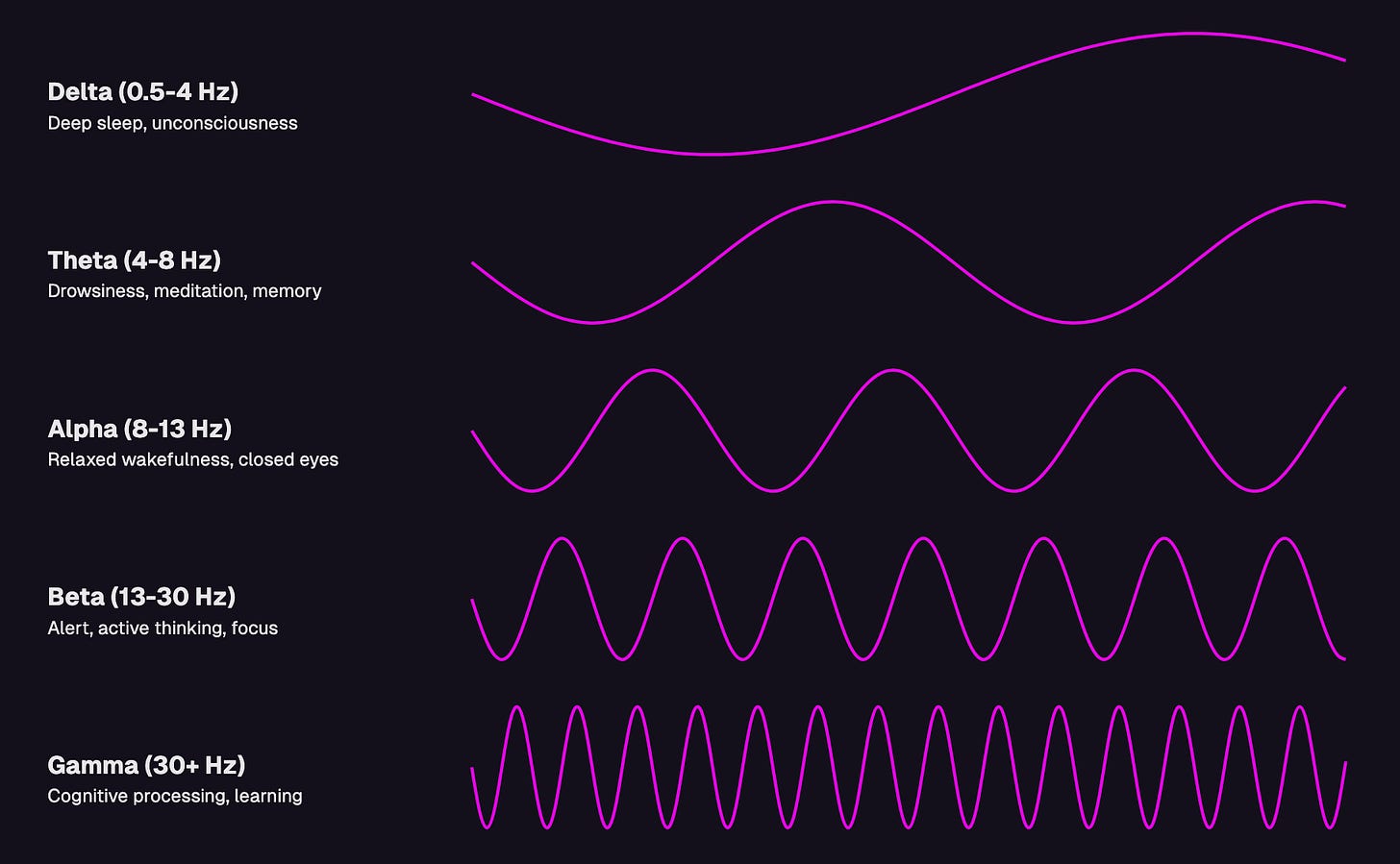 Delta (0.5-4Hz) deep sleep, unconsciousness; Theta (4-8hz) drowsiness, meditation, memory; Alpha (8-13hz) relaxed wakefulness, closed eyes; Beta (13-30Hz) alert, active thinking, focus; Gamma (30+Hz) cognitive processing, learning