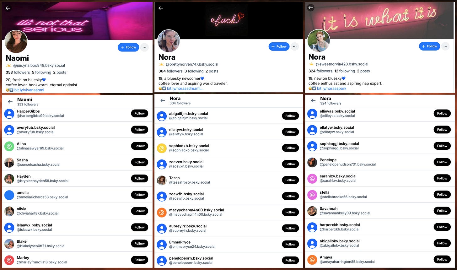 profile screens and recent followers of three Bluesky accounts, @juicynaiboo849.bsky.social, @prettynorven747.bsky.social, and @sweetnorvia423.bsky.social