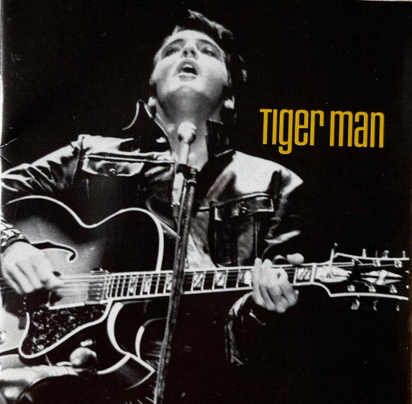 Tiger Man, Primary, 1 of 7