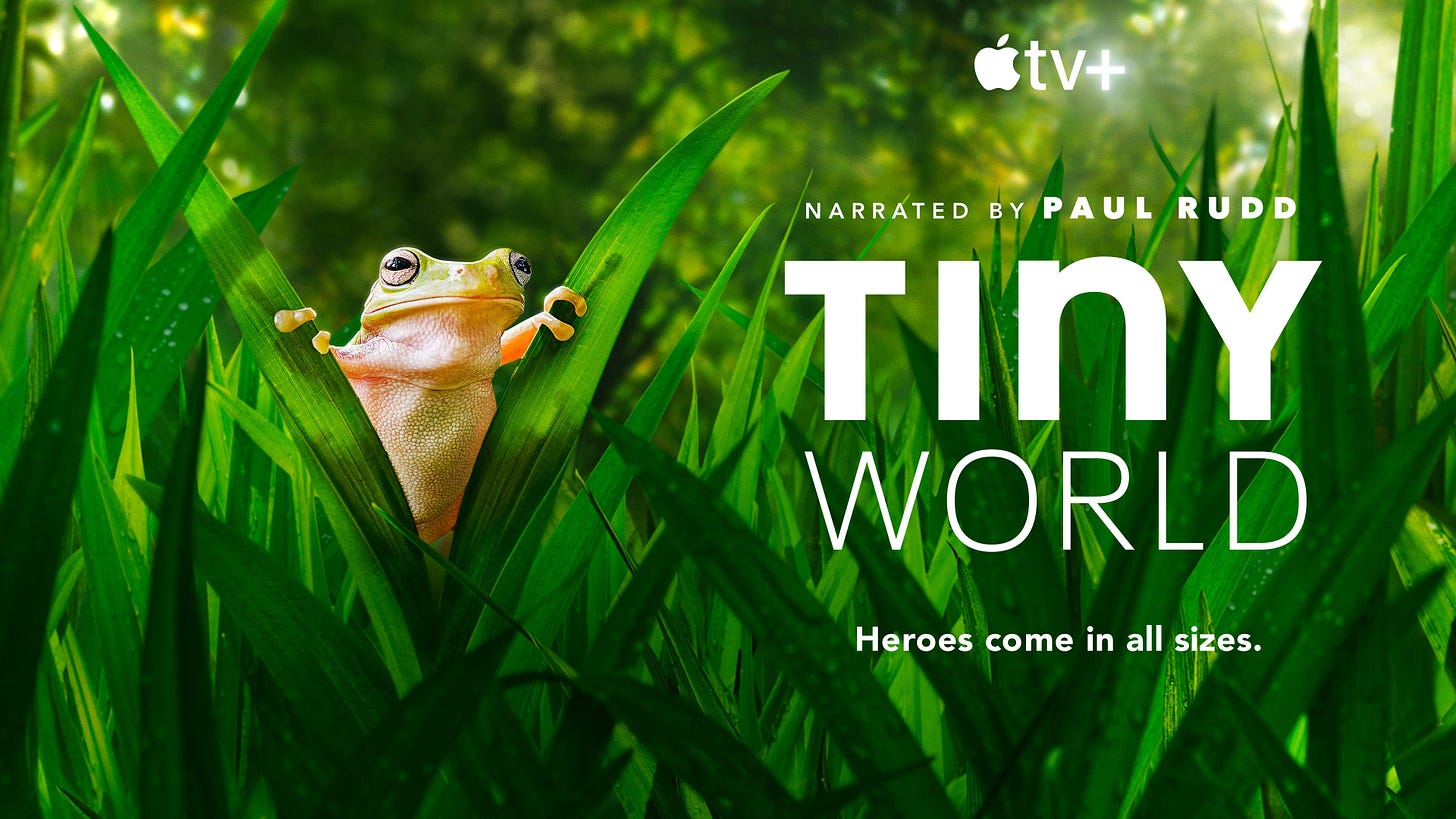 Tiny World season 2 review: Apple TV+ nature doc goes big by going small