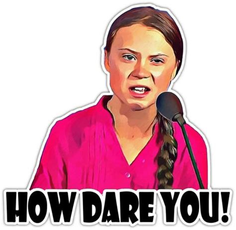 How Dare You! Greta Thunberg Activist Vinyl Sticker Decal Car Laptop ...