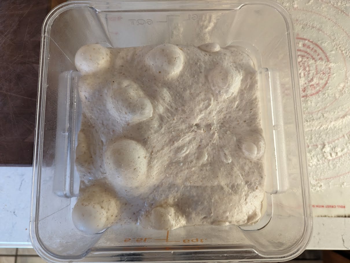 a square clear plastic tub half-full of bread dough, which has many large bubbles on top. The plastic container is on a kitchen counter, which has a silicon bread mat dusted with flour, and a wooden cutting board.