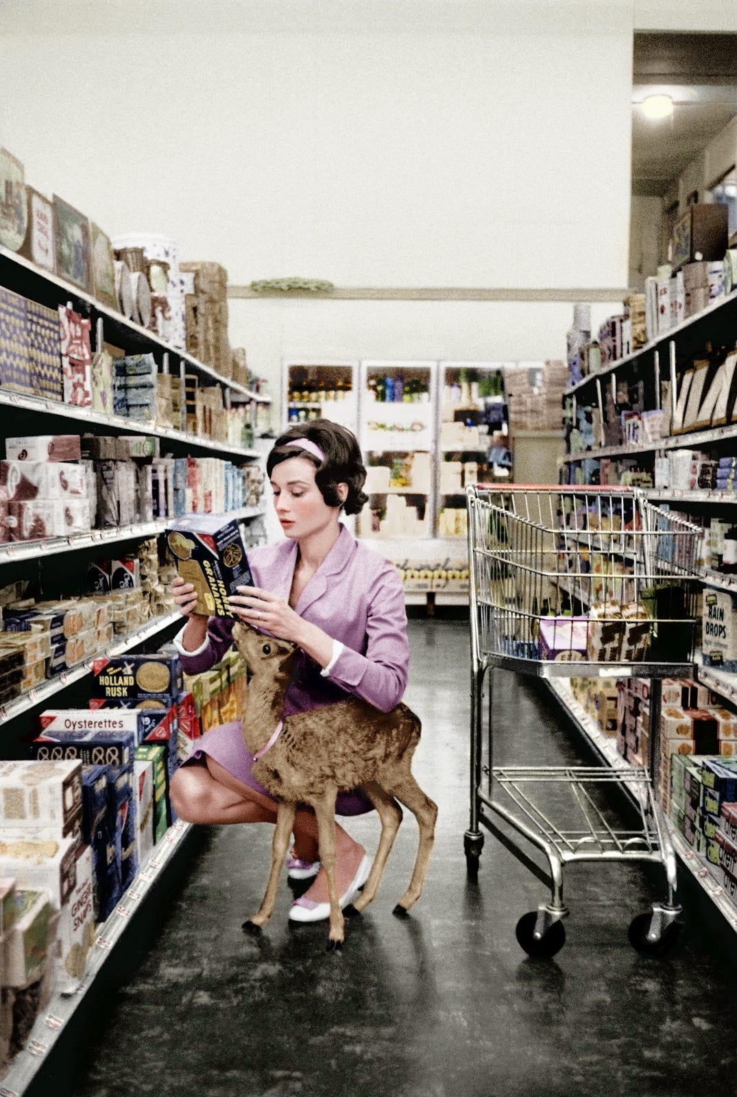 r/OldSchoolCool - When Audrey Hepburn was making her film "Green Mansions", the animal trainer recommended Audrey take home the baby deer so it would learn to follow her on set during the movie (and as needed for her role). Audrey fell in love and napped, shopped, and ate with the doe she named…