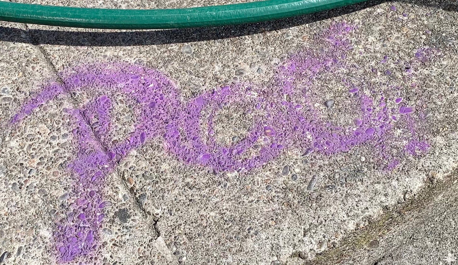 The word "poo" spray painted in purple on the cement and, above it, a green water hose