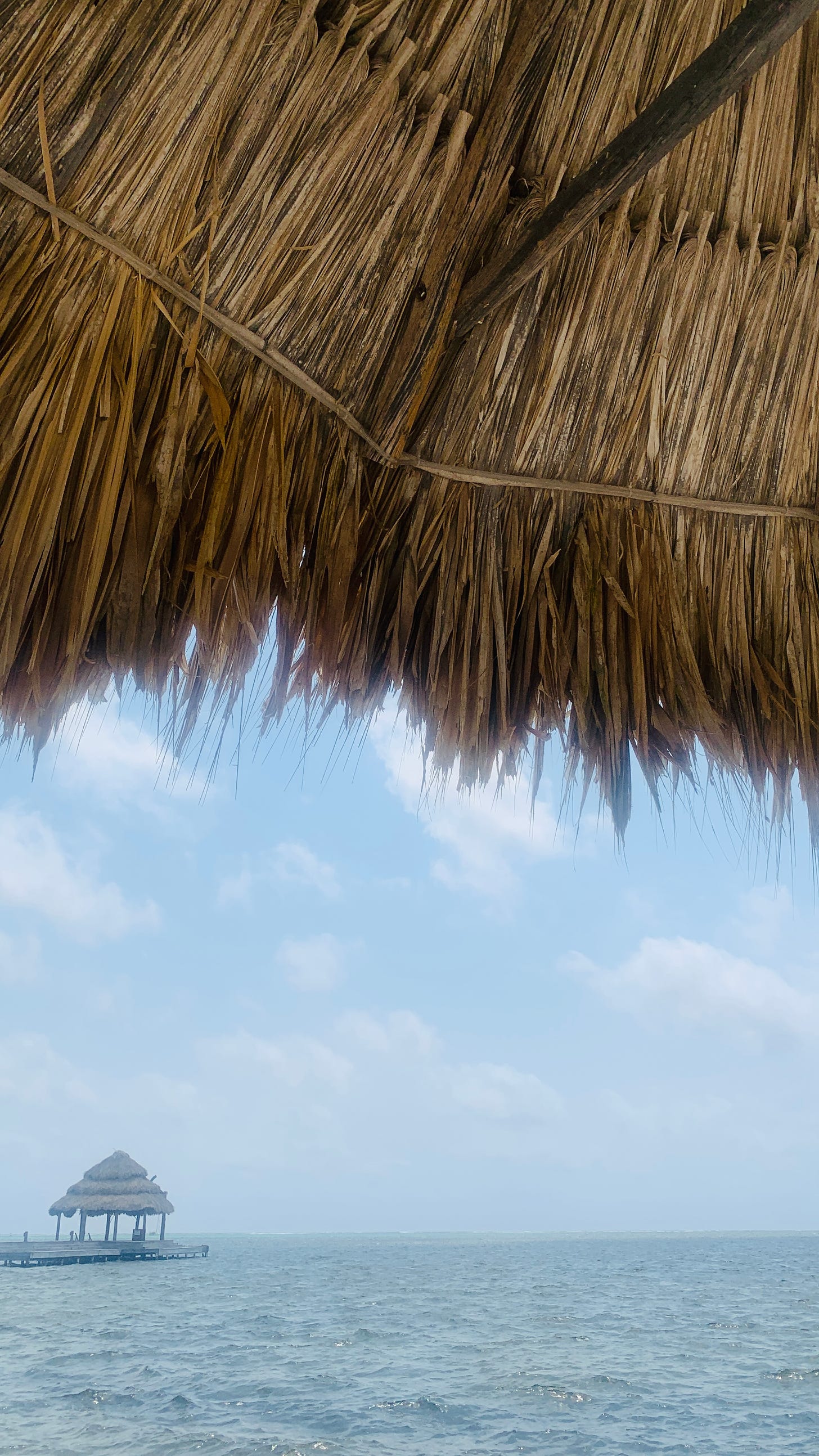 the ocean and the sky, from the point of view of sitting under a thatched roof