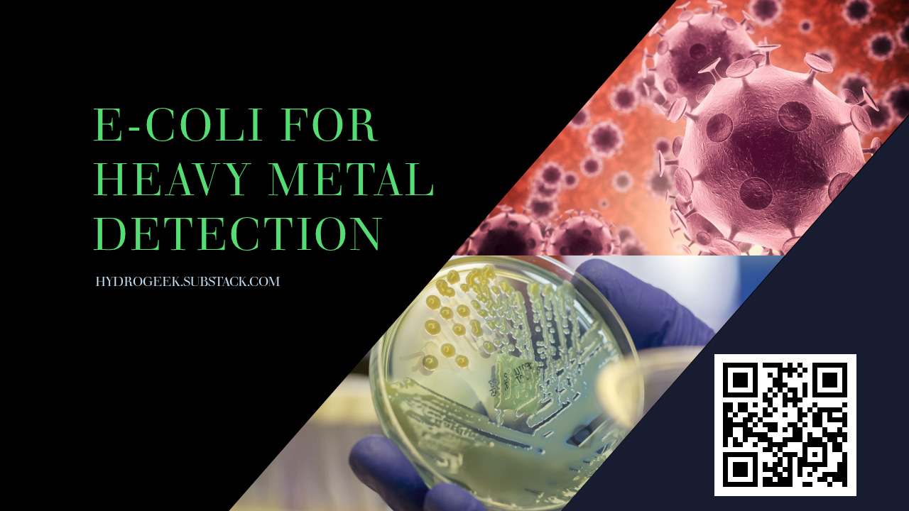 EColi for Heavy Metal Detection