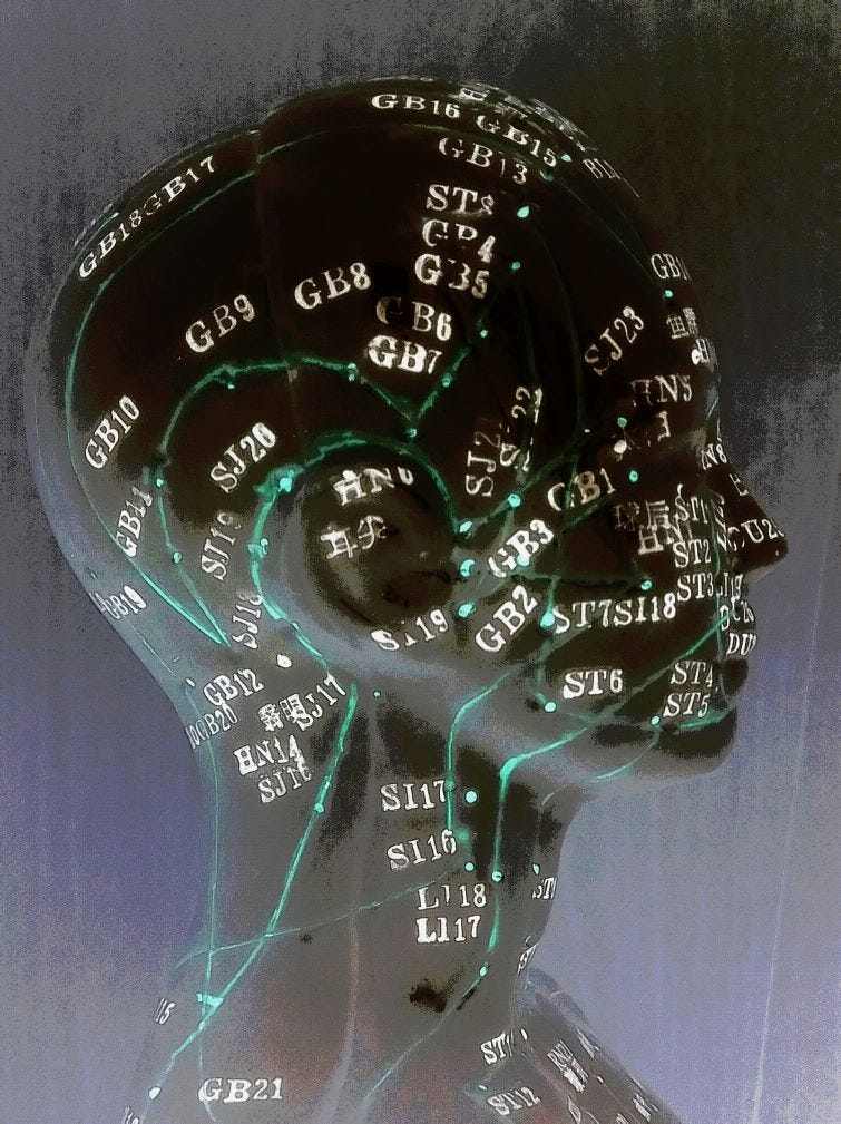 An altered photo negative of the head of an acupuncture mannequin showing many of the various points discussed in the article.